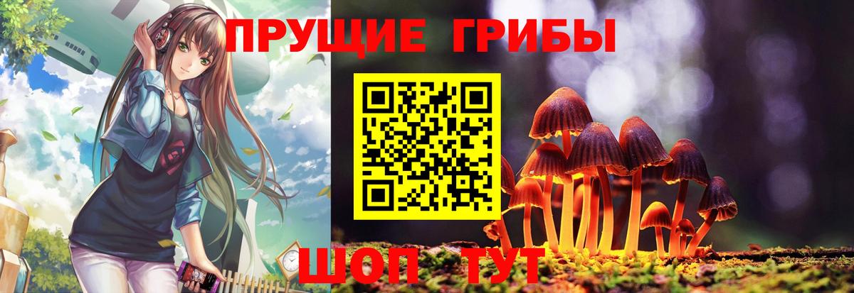 Тара  Галлюциногенные грибы GOLDEN TEACHER  Вход с VPN 